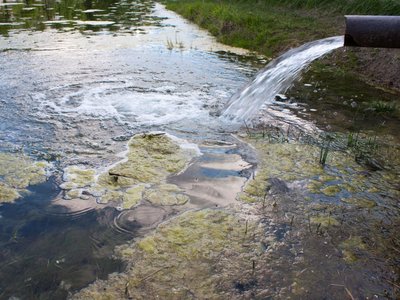 20 Million Tonnes of Untreated Sewage Spilled Annually in Northern Ireland: 80% of Sites Breach Environmental Laws