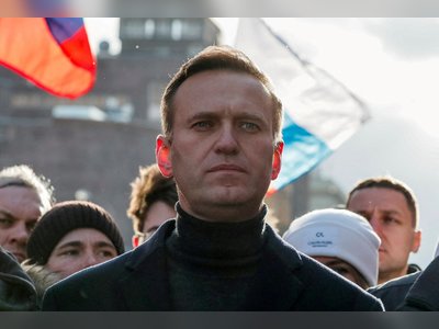Putin Critic Exiled Navalny Ally Attacked With Hammer In Lithuania